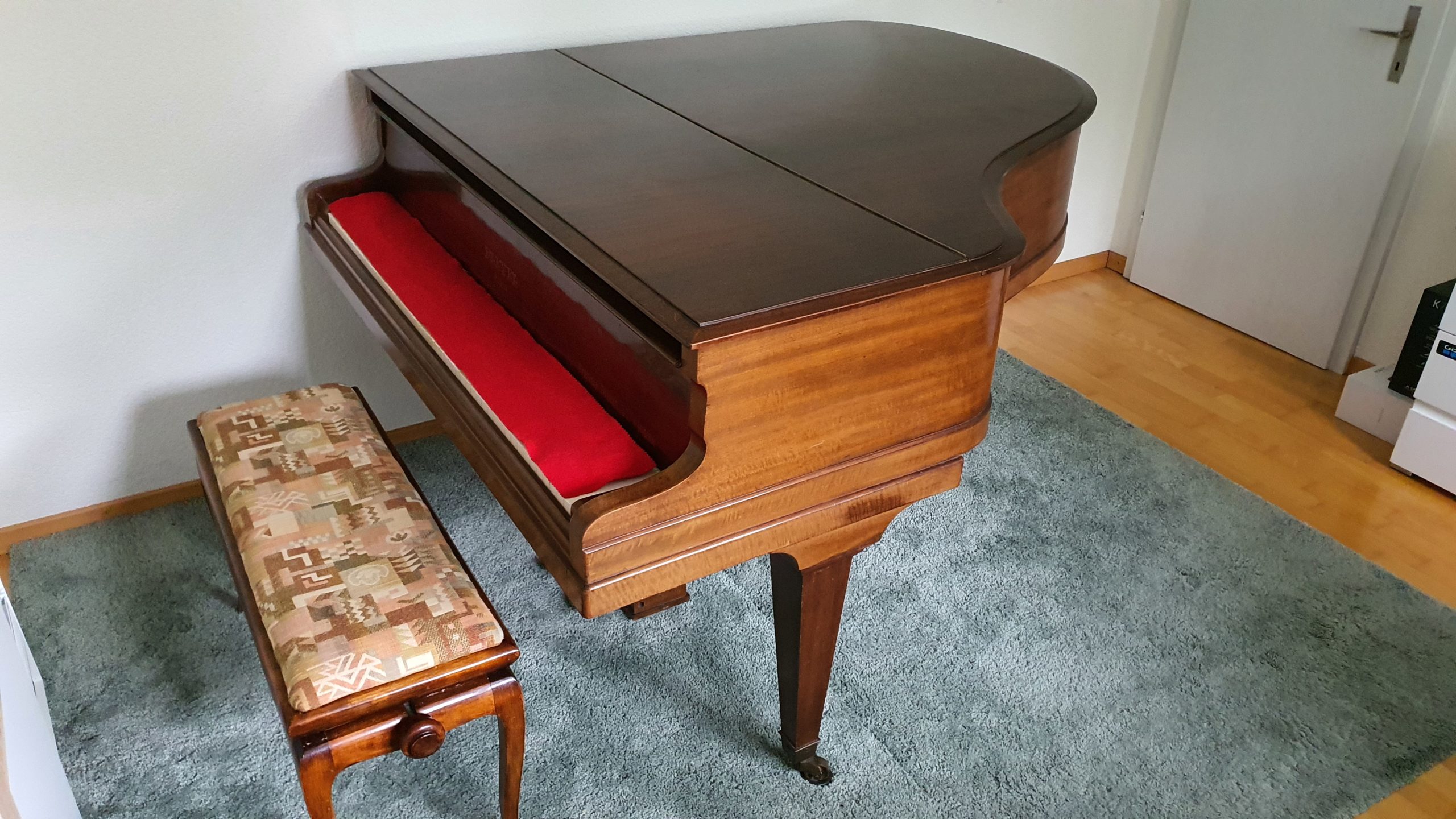 Klavierlehrerin und Klavierbegleiterin / Piano Accompanist and teacher in Bern