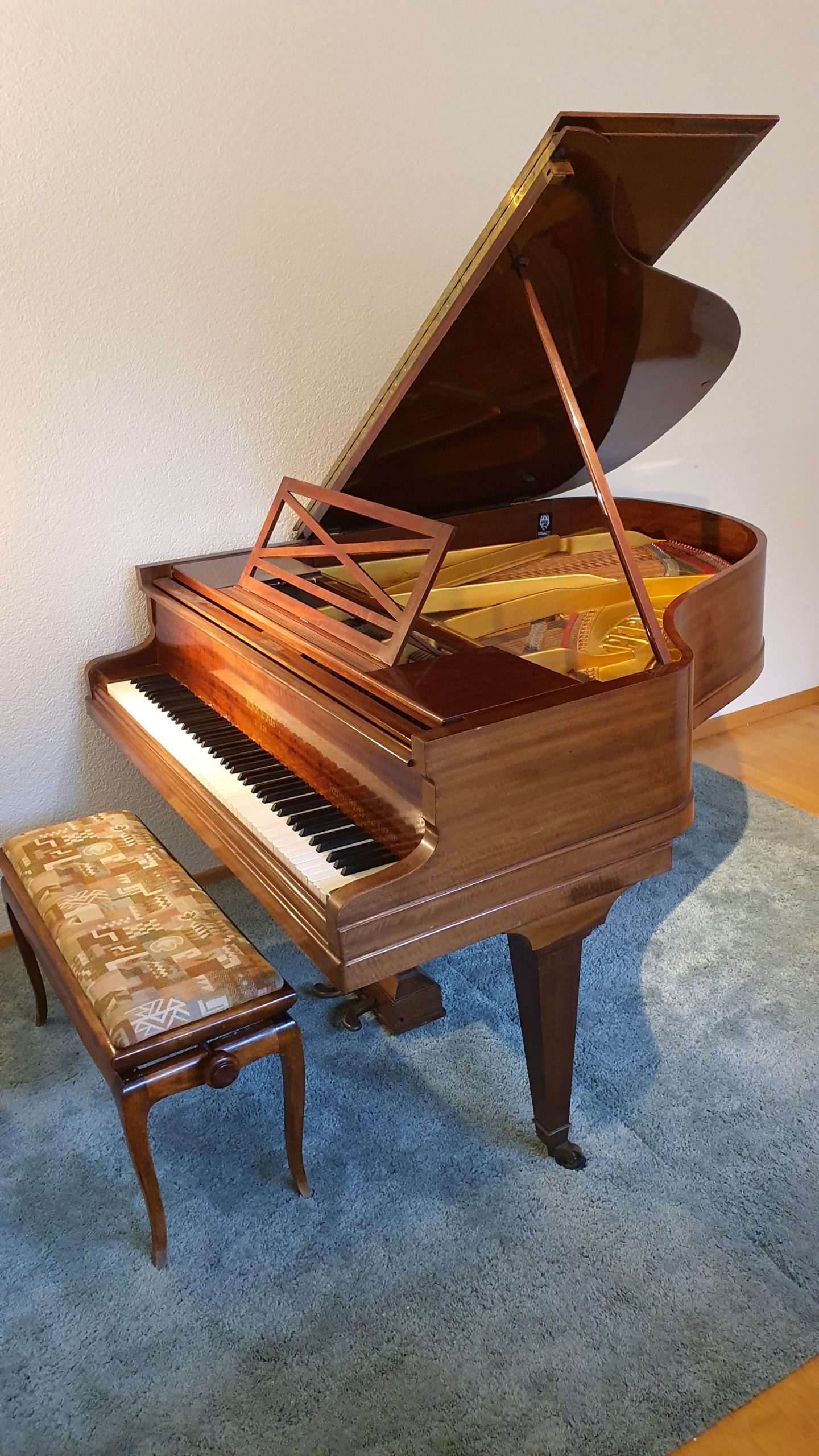 Klavierlehrerin und Klavierbegleiterin / Piano Accompanist and teacher in Bern