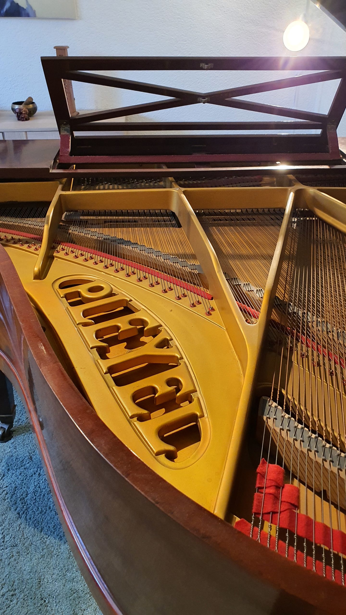 Klavierlehrerin und Klavierbegleiterin / Piano Accompanist and teacher in Bern
