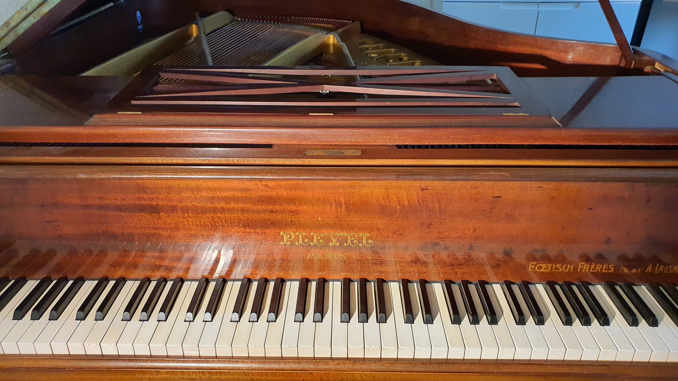 Klavierlehrerin und Klavierbegleiterin / Piano Accompanist and teacher in Bern